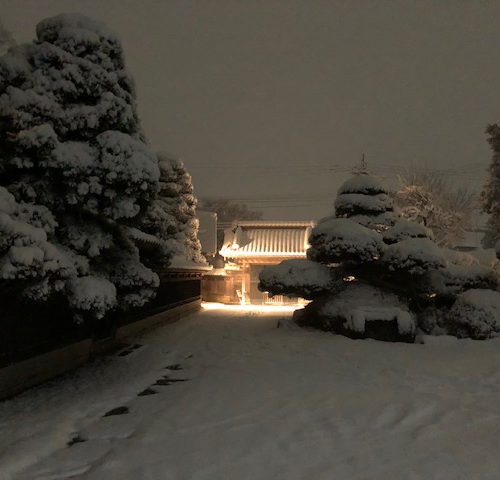 大雪ですね。