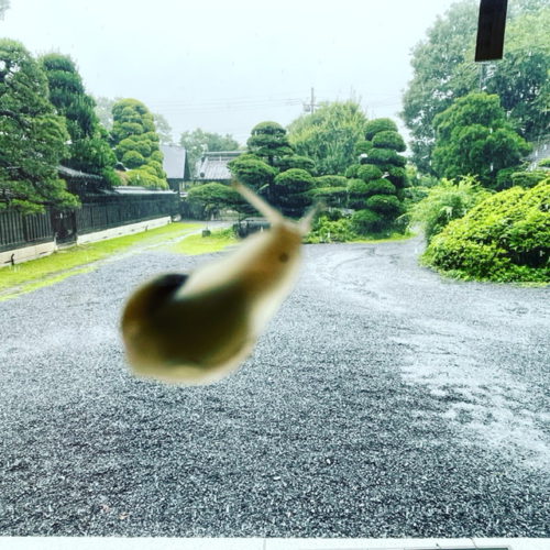 梅雨明け!