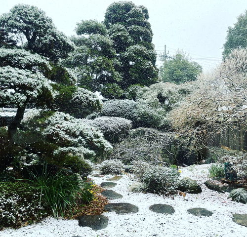 春来つついつの間にかの戻りかな!!