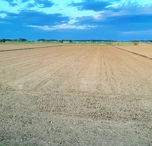 圃場の耕起が始まりました🚜